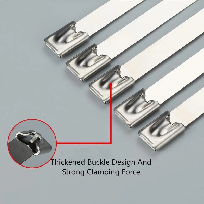 product-800-800